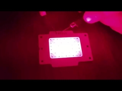 COB LED CHIP 15W LED COB cho ánh sáng điều trị LED