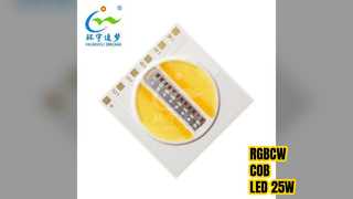 RGBCW COB LED 25W Công suất cao màu trắng có thể điều chỉnh